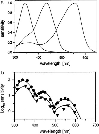 Fig. 2