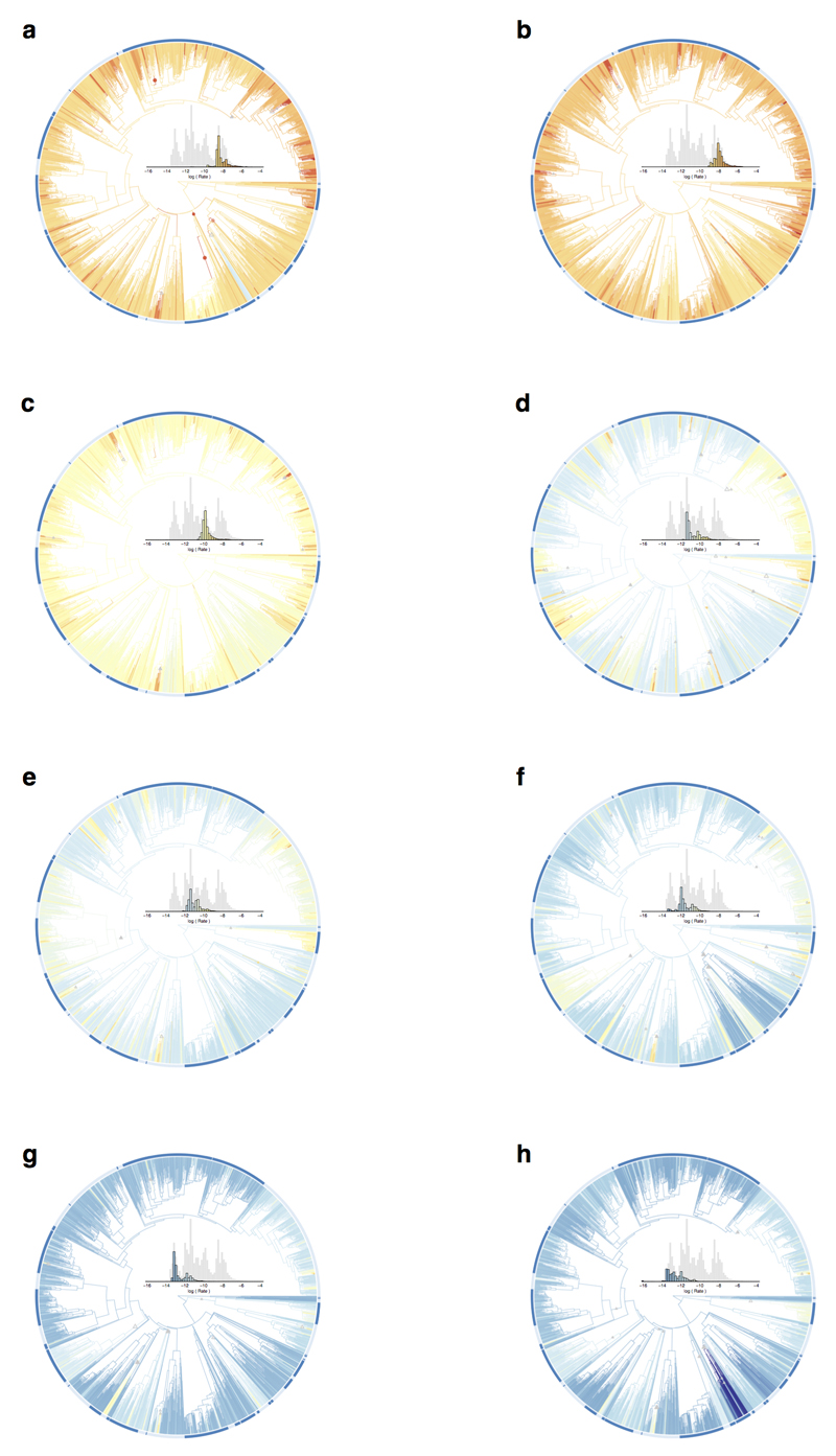 Extended Data Figure 5