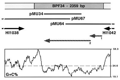 FIG. 4.