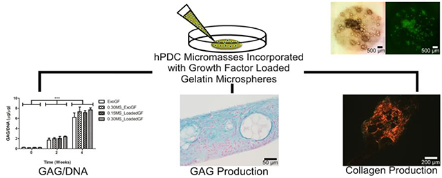 graphic file with name nihms-1526826-f0001.jpg