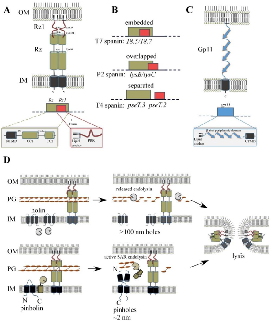 Fig. 6