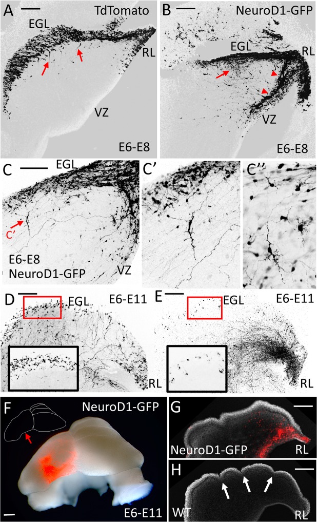 Figure 6