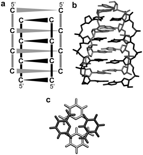 Fig. 10