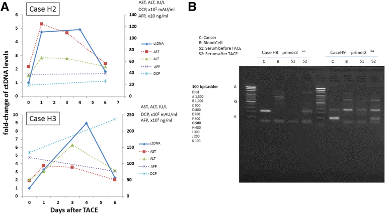 Figure 6