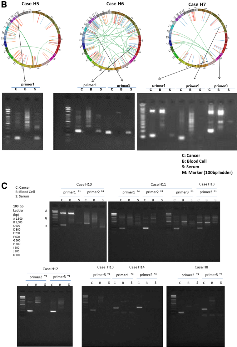 Figure 2