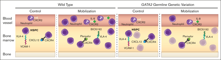 Figure 6.