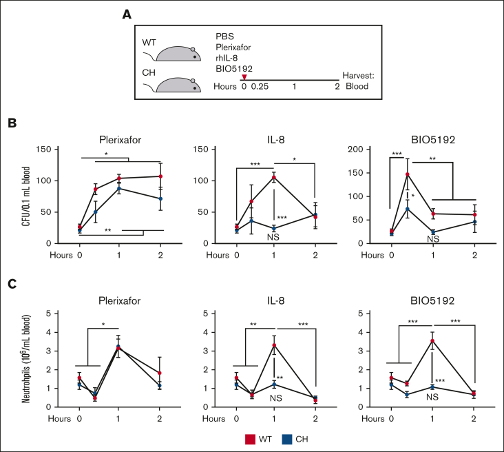 Figure 4.