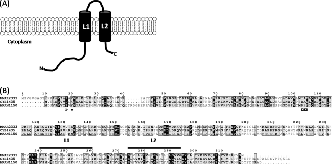 Fig. 2.