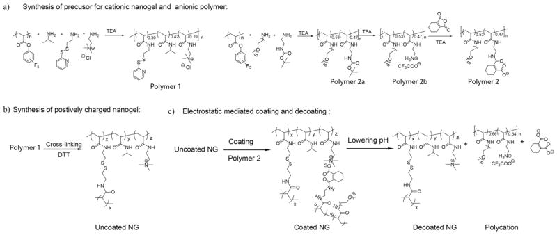 Scheme 2