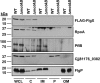 FIG 3
