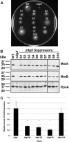 FIG 5