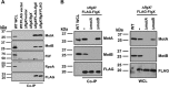 FIG 2