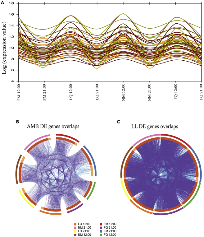 Figure 3