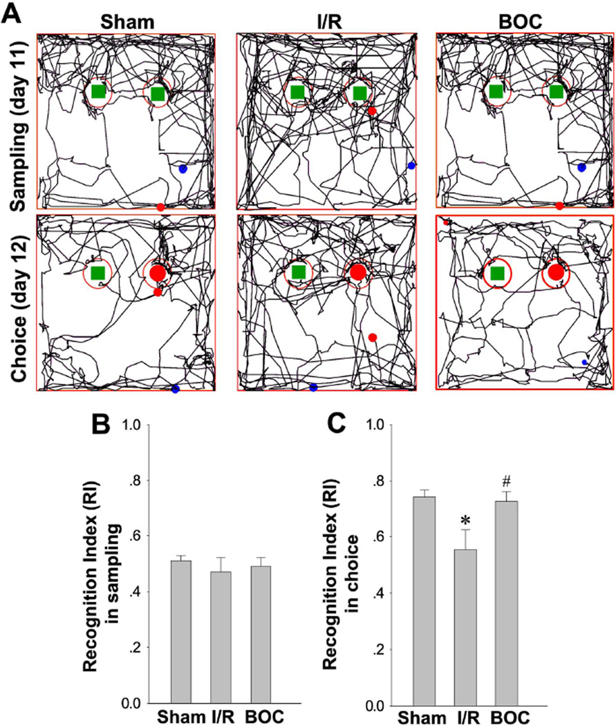 Fig. 10