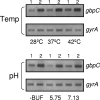 FIG. 8.