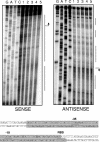 FIG. 7.