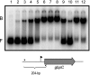 FIG. 6.