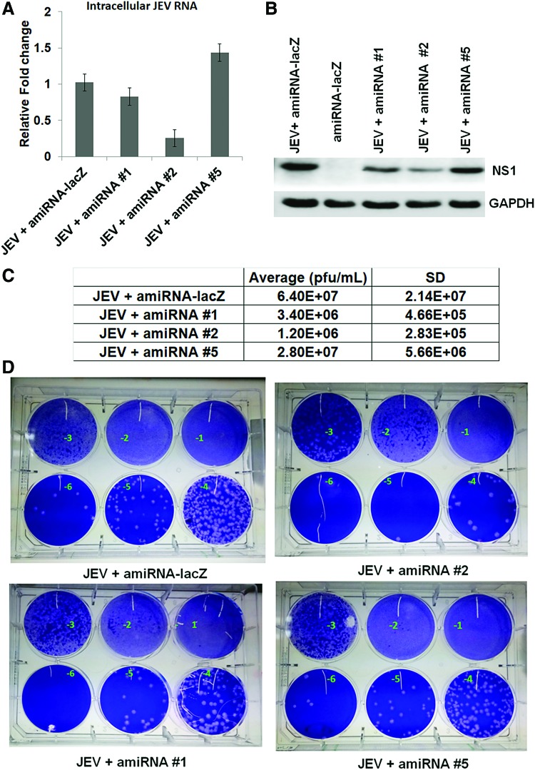 FIG. 4.