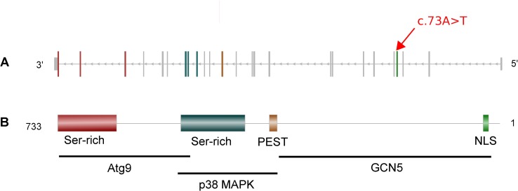 Fig 3