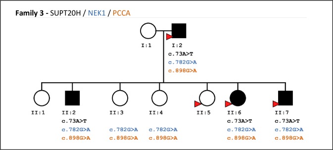 Fig 4