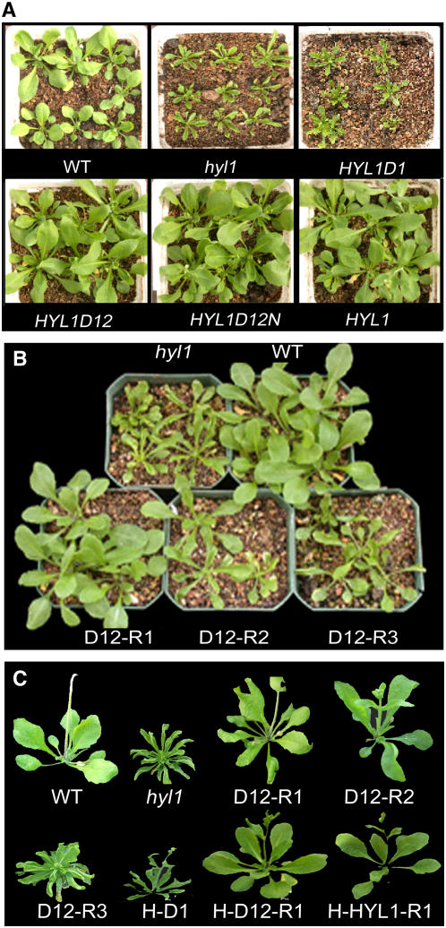 Figure 2.