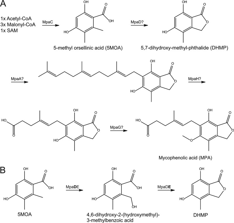 Fig 1