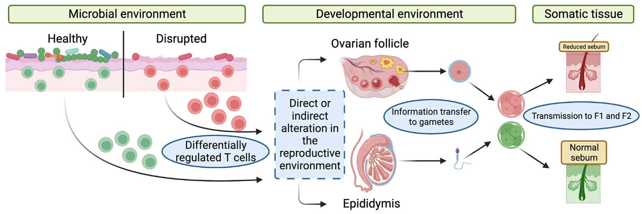 Figure 7.