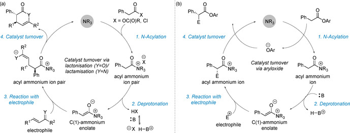 Scheme 2