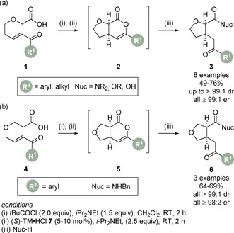 Scheme 3