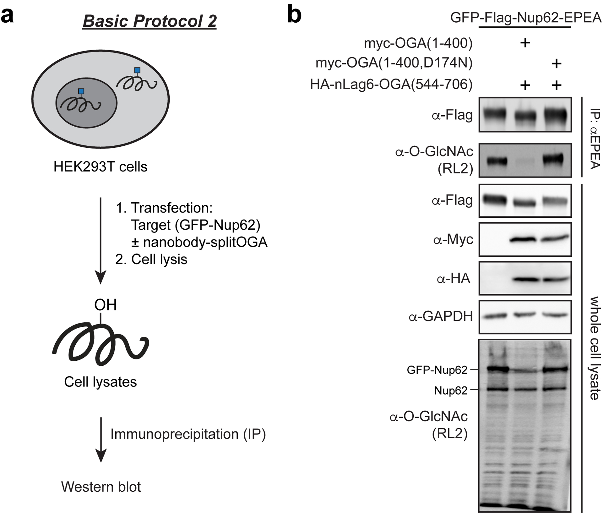 Figure 3: