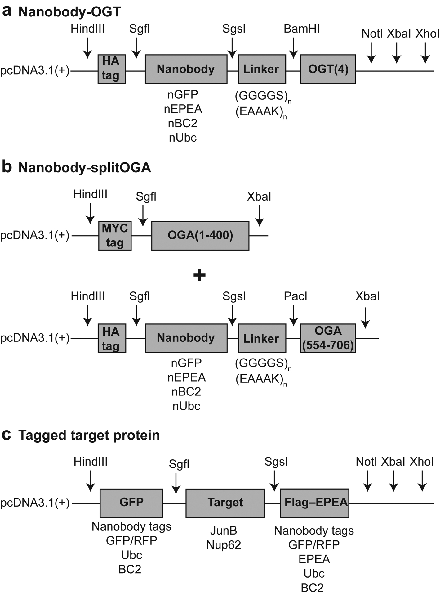 Figure 5: