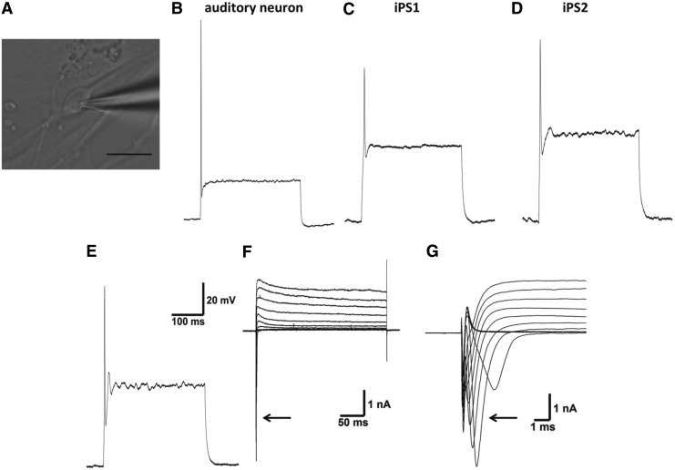 FIG. 7.