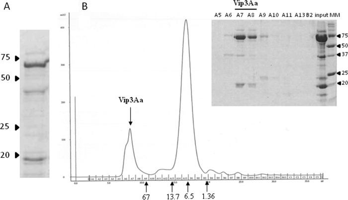 FIG 2