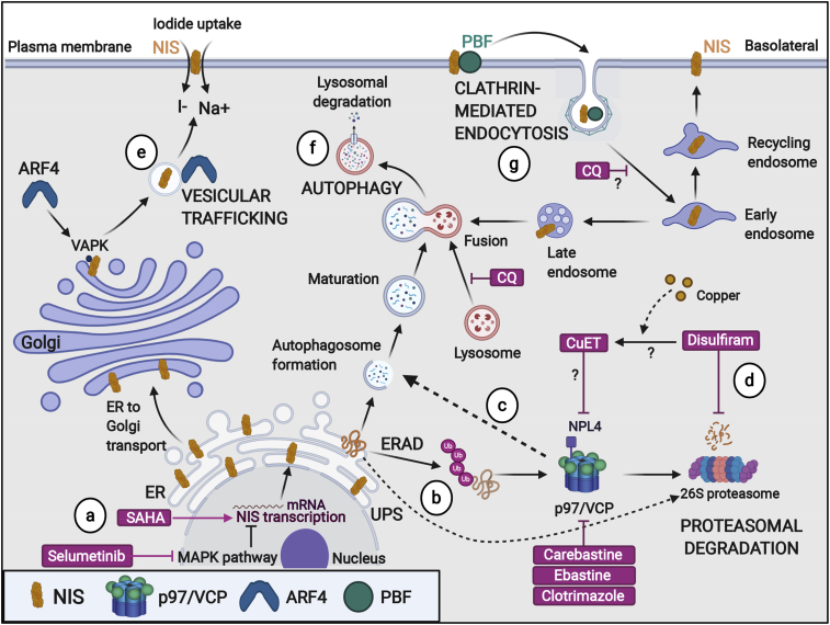 Figure 6