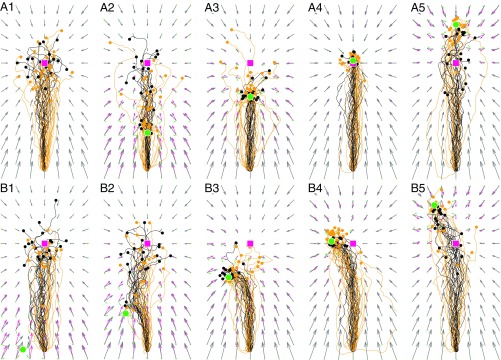 Fig. 3.