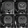 Fig 8.