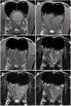 Fig 7.