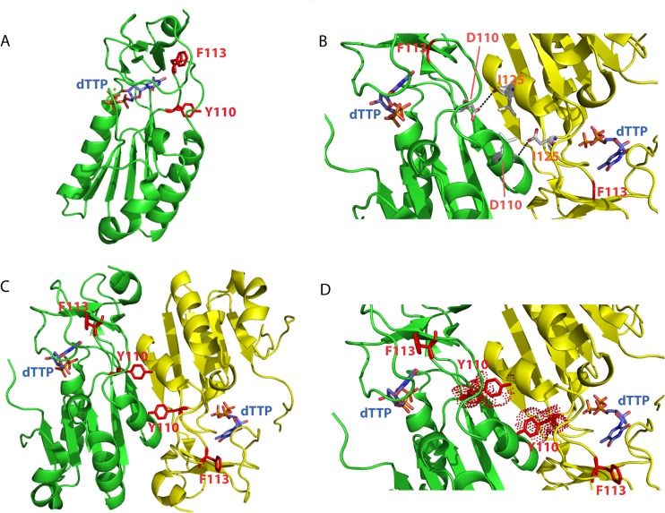 FIG 6