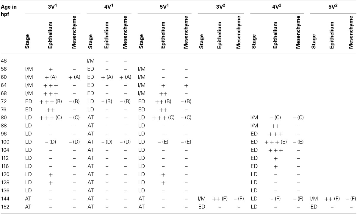 graphic file with name fphys-05-00386-i0001.jpg