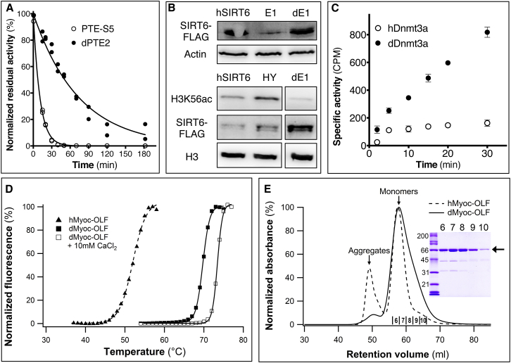 Figure 3