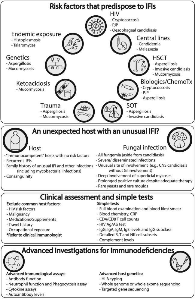 Figure 2.