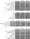 Fig 6