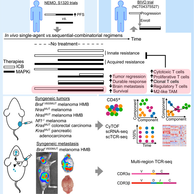 graphic file with name nihms-1732353-f0007.jpg