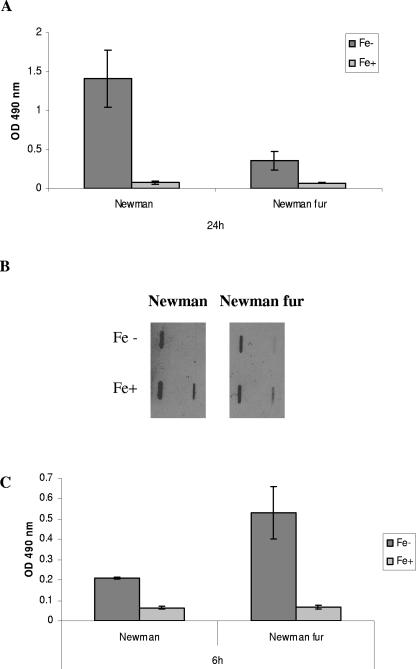 FIG. 3.