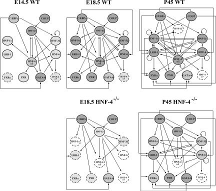 Figure 7.