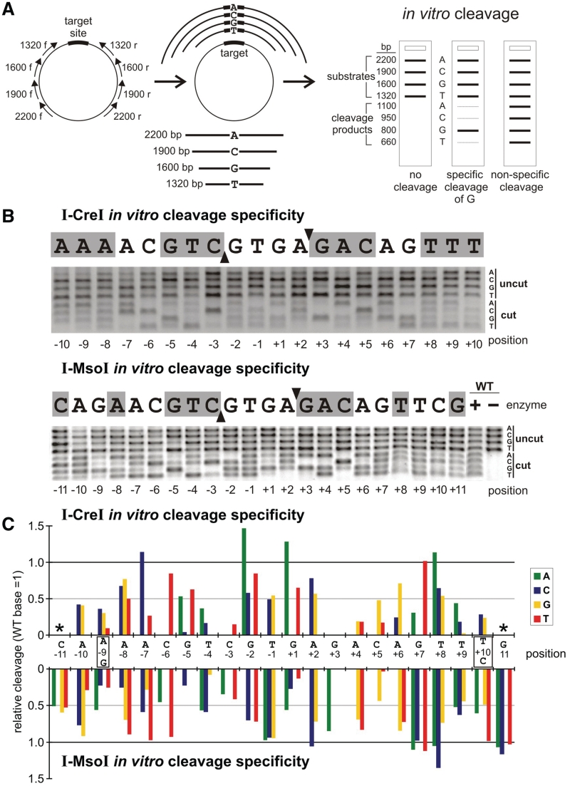 Figure 3.