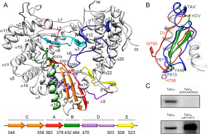 Fig 4