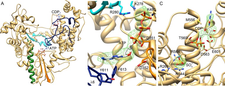 Fig 6