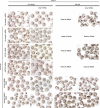 Figure 3—figure supplement 2.