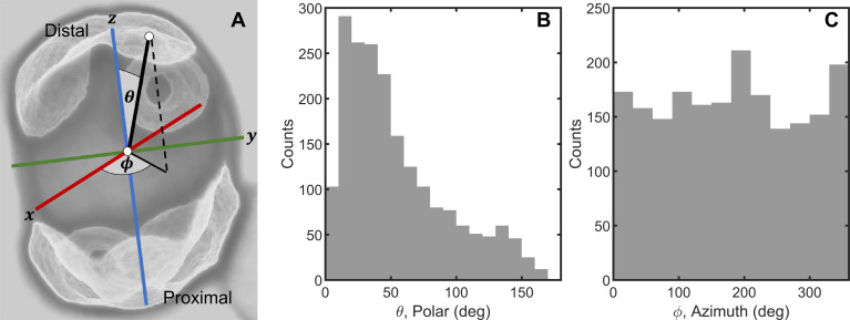 Figure 1—figure supplement 1.